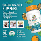 MARYRUTH'S Adult Vitamin C Gummies | USDA Organic | Vegan Chewable Vitamin C Gummies for Ages 14+ | for Immune Support & Overall Wellness | Vegan | Non-GMO | Orange Flavor | 60 Count
