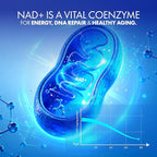 NAD+ Supplement - NMN Alternative with Liposomal NAD+, Trans Resveratrol, Manganese, Apigenin Plus Pterostilbene for Women and Men, Anti Aging Support