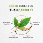 Secrets of the Tribe Grape Seed and Artichoke Liquid Extract (2 pcs.) | Alcohol-Free Tinctures | Grape (Vitis vinifera) Dried Seed and Artichoke (Cynara scolymus) Dried Leaf (2x4 fl oz)