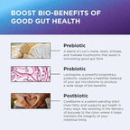 DR. EMIL NUTRITION Women & Men Total Gut Health Complex | Prebiotic + Probiotic + Postbiotic Gut Health Supplements | Probiotics Digestive Health & Gut Health | 120 Capsules