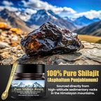 Himalayan Shilajit Resin 1,000 mg – Gold-Grade Organic Fulvic Acid & 85+ Trace Minerals | Alpine-Harvested, Sun-Dried & Lab-Purified | Energy, Vitality, Immune & Cardiovascular Support | Non-GMO