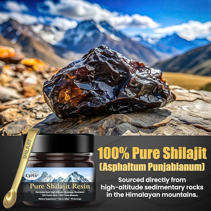 Himalayan Shilajit Resin 1,000 mg – Gold-Grade Organic Fulvic Acid & 85+ Trace Minerals | Alpine-Harvested, Sun-Dried & Lab-Purified | Energy, Vitality, Immune & Cardiovascular Support | Non-GMO
