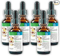 Morter Trace Minerals in Colloidal Suspension (6 Pack) Morter HealthSystem Best Process Alkaline — Nutrient Dense Trace Elements, Fulvic Minerals & Amino Acids