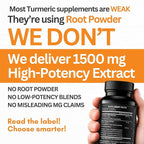 Turmeric Curcumin Extract 1500mg – Full Dose of 95% Curcuminoids with Black Pepper Ginger & Cinnamon – High Absorption Turmeric Supplement – Non-GMO Natural Capsules