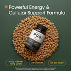 NatureBell PQQ with CoQ10-240 Capsules - 40mg Active PQQ with 10mg Coenzyme Q10 - Cellular Energy & Cognitive Function Support - Antioxidant Nutrients for Heart & Brain Health*