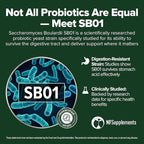 Saccharomyces Boulardii Probiotic 240 Tablets (4 Month Supply) – Researched Strain SB01 – 3 Billion CFU – Digestive Health & Gut Support – GMP Certified (240, Saccharomyces Boulardii)