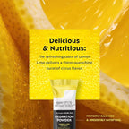 Earth's Splendor Electrolytes Powder Packets Lemon Lime Hydration Drink Mix Sticks with Essential Vitamins for Energy & Sports Performance | Travel-Friendly Single-Serve Packets for Daily Use 10 Pack