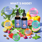 Parasite Cleanse for Humans & Kids,Parasite Cleanse for Children,Zeolite Detox Liquid Drops,Candida Cleanse & Wellness Formula,Contains wormwood black walnut clove,Organic Chlorella,Oregano,2 Fl Oz
