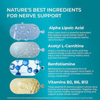 PUREHEALTH RESEARCH Nerve Regen Formula - Nerve Support Supplement for Feet & Hands - with Alpha Lipoic Acid ALA, Benfotiamine, Acetyl L-Carnitine, Riboflavin, Vitamin B6, B12, D & More - 120 Capsules
