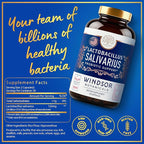 WINDSOR BOTANICALS Lactobacillus Salivarius Probiotic Capsules - L Salivarius Probiotic Oral Dental Probiotics for Bad Breath, Teeth and Gums Health and Immune Support - 24bn CFU, 3-Pack 180 Caps