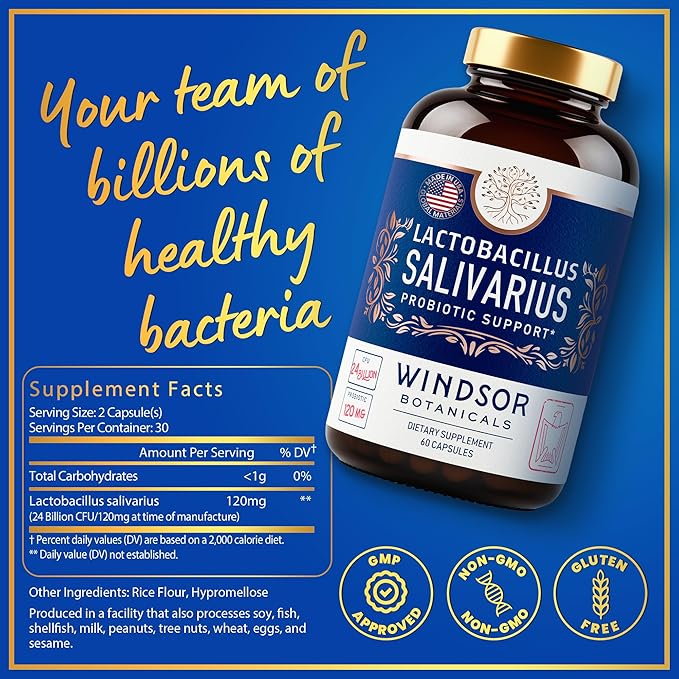 WINDSOR BOTANICALS Lactobacillus Salivarius Probiotic Capsules - L Salivarius Probiotic Oral Dental Probiotics for Bad Breath, Teeth and Gums Health and Immune Support - 24bn CFU, 3-Pack 180 Caps