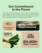 sapling Vegan Vitamin B Complex - Whole Food Blend with Essential B Vitamins B1, B2, B3, B5, B6, B7, Folate, B12-60 Caps
