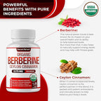 Organic Berberine with Ceylon Cinnamon 2175mg - Premium berberine supplement high purity extract USDA Organic, support immune system, Berberine Plus Complex, Non-GMO Vegan for Men Women 90 Capsules