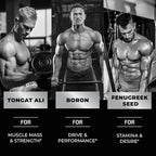 Testosterone Supplement for Men for Muscle Growth, Stamina & Performance | Testosterone Booster Muscle Builder for Men | Test Boost Max with Tongat Ali | Test Booster & Male Enhancement | 60 Gummies