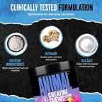 Animal Creatine Chews Tablets - Enhanced Creatine Monohydrate with AstraGin to Improve Absorption, Sea Salt for Added Pumps, Delicious and Convenient Chewable Tablets - Fruit Punch