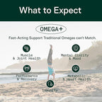 Adapt Naturals Omega 3 Fish Oil Supplement with Bioavailable Curcumin & Black Seed, 1500mg Fish Oil EPA DHA Omega 3 Fatty Acids to Support Joints, Muscles & Heart | Unflavored - 30 Days Supply