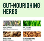 Vibrant Health, Digestive Vibrance, Probiotic Powder Reinvented with Special Ingredients, 100 Billion Probiotics Per Serving, 14 Servings