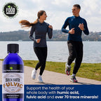 THE FOOD MOVEMENT CO. Black Earth Fulvic Acid - Humic Fulvic Minerals with Electrolytes for Digestive Health and Exercise Recovery, 8 oz Trace Minerals Supplement