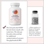 FullWell Women's Prenatal Multivitamin - Healthy Pregnancy Support - Contains Choline & Folate - Supports Fetal Growth & Brain Development* - 240 Count (60 Servings, 2 Pack)