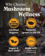 Mushroom Wellness Lion’s Mane Blend with Reishi: Organic Lion's Mane & Reishi Mushroom Capsules, Mushroom Powder Supplement, Supports Cognitive Health, Memory, and Mental Focus, 90 Vegan Capsules