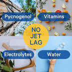 1ABOVE Jet Lag Relief Tablets - Citrus-Flavored Effervescent Multivitamin with Pycnogenol Travel Supplement for Hydration, Energy, Immune Support and Faster Recovery - Flight Essential, 20 Tablets