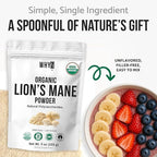 Organic Lion’s Mane Mushroom Powder Fruiting Body Superfood Freeze-Dried Unflavored Natural Polysaccharides for Smoothies Coffee Supports Brain Focus Energy Vegan Gluten-Free Non-GMO, 9 oz (255g)
