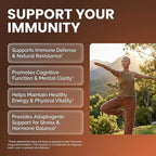 Organic Mushroom Supplement | Ashwagandha Lions Mane Cordyceps Turkey Tail Reishi Mushrooms Maca Root Black Hoof Chaga Tremella Agarikon Shiitake Oyster Powder Capsules Sporgenic By Clean Nutra (1)