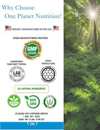 One Planet Nutrition Nano Curcumin 500 mg Veggie Capsules (240 Servings), Family Size, Nano for High Absorption, Supports Immune Health, Non-GMO, Vegan, Gluten-Free