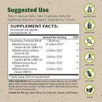 Master Supplements TruBifido - 30 Capsules, Pack of 2 - Powerful Probiotic for Colon Health & Energy - Immune Booster, Supports Regularity - Gluten Free - 60 Total Servings