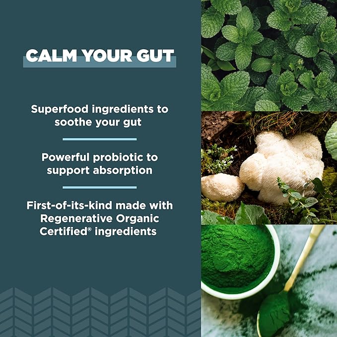 Ancient Nutrition Gut Health Supplement, Regenerative Organic Certified Leaky Gut Capsules, Formulated with Lion’s Mane, Fermented Licorice Root and Spearmint, Gluten Free, Paleo and Keto Friendly, 90