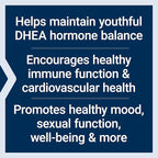 Life Extension N-Acetyl-L-Cysteine (NAC), Immune, Respiratory & DHEA 25 mg – Supplement for Hormone Balance, Immune Support, Sexual Health, Bone & Cardiovascular Health