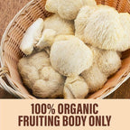 Lions Mane Mushroom Powder, 8oz Pack of Lion's Mane Powder, Organic Powder for Brain, Focus and Memory, High Potency Formula to Support Immunity, for Mental Clarity, Energy and Mood