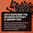 NatureWise Turmeric Curcumin with Black Pepper 2600mg - Ultra Absorption Turmeric Curcumin Supplement + BioPerine - Naturally-Sourced, Vegan, Non-GMO, USA Manufactured - 120 Capsules[30-Day Supply]