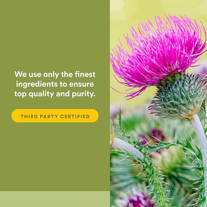 NATURAL FACTORS Milk Thistle Extract 250 Mg, 90 CT