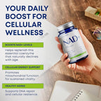 NAD+ Supplement with Nicotinamide Riboside, Trans Resveratrol & Quercetin – NAD Plus Complex for Energy, Brain & Mitochondrial Support – Antioxidant and Longevity Formula for Women & Men – 60 capsules