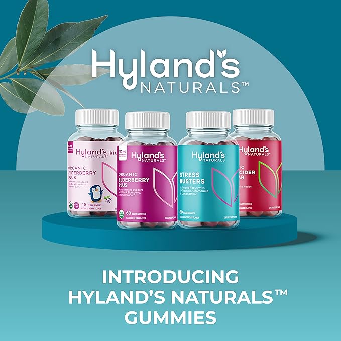 Hyland's Kids Organic Elderberry Plus Gummies, Organic Black Elderberry with ZINC and Vitamin C, Immune Support for Children, 48 Vegan Gummies (Pack of 2)