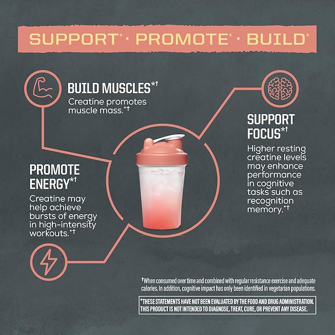 Creatine Monohydrate Powder Micronized PreWorkout Recovery Supplement | Support Muscle Building Strength Training Cognition | Vegan & Keto Friendly Easily Mixes Rainbow Sherbert Flavored Creatine