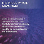 Tesseract Medical Research ProButyrate Gut Health Supplement, Butyric Acid Complex, Gastrointestinal Support Supplement, Helps Restore Balance to Stabilize Gut Microbiome, 600mg (60 Capsules)