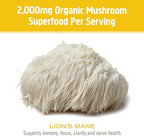 Mushroom Matrix Lion's Mane 3.57 Ounce (100 Grams) Pwdr