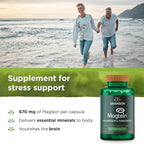 Swanson Magnesium L-Threonate Brain and Cognitive Health Supplement for Professionals Seeking Mental Clarity - 96 mg Magnesium per Serving (90 Vegan Capsules, 4 Pack)