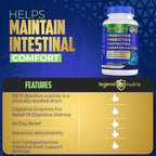 Probiotics Prebiotics Postbiotics Digestive Enzymes 4 in 1 Formula 60 Count (Pack of 1)
