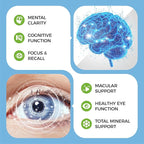 2 Pack Eye + Brain Supplements for Memory and Focus, Lutein 40mg, Zeaxanthin, Astaxanthin, Bilberry, Lion’s Mane, Bacopa Monnieri, Ginkgo Biloba, 14 in 1 Eye Vitamins for Adults & Seniors 240 Capsules