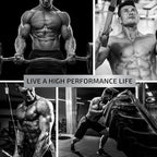 Testosterone Supplement for Men for Muscle Growth, Stamina & Performance | Testosterone Booster Muscle Builder for Men | Test Boost Max with Tongat Ali | Test Booster & Male Enhancement | 60 Gummies