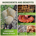 Lions Mane Supplement Capsules - Mushroom Supplement With Lions Mane, Cordyceps, Reishi, Turkey Tail, Shiitake - Lion's Mane Mushroom For Memory, Focus & Immune Support - 117 Vegan Mushrooms Capsules