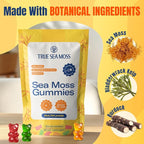 TrueSeaMoss Sea Moss Gummies with Bladderwrack & Burdock Root – Vegan Formula for Adults & Kids – Fruity Flavor – 60 Gummies (Pouch May Vary)