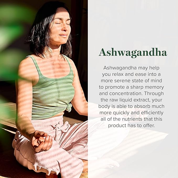Global Healing Center - Organic Ashwagandha Supplements Drops - KSM-66 Ashwagandha Extra Strength for Men & Women, Helps Promote Relief from Stress, Mood Support, Organic (2 Fl Oz)