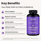 WellPath Mind Brain Supplement for Memory and Focus with Lion's Mane and Soothe Cortisol Manager with KSM-66® Ashwagandha & L-Theanine