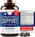 WINDSOR BOTANICALS Cholesterol Supplements - Citrus Bergamot, Niacin, Red Yeast Rice, Berberine, Aronia Berry Extract to Support Normal HDL and LDL Cholesterol Levels - 90 Vegan, Non-GMO Capsules