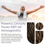 Universal U Calm + Focus Ashwagandha Chews – KSM-66® 300 mg Clinically Studied Extract for Stress Relief, Mood Balance & Calm Energy – Lemon Flavor – 60 Chews
