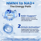 NMNH (NMN Supplement Alternative), NAD+ Supplement with Dihydronicotinamide Mononucleotide for Cellular Health, Healthy Aging & Sustained Energy, 60 Capsules